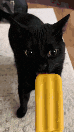 a black cat is eating a yellow popsicle on the floor