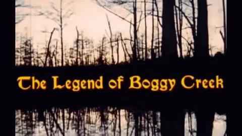 The Legend GIF - The Legend Boggy GIFs