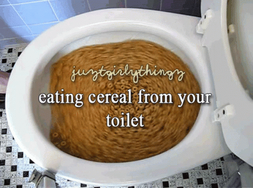 Just Girly Things Eating Cereal From Your Toilet GIF - Just Girly Things Eating Cereal From Your Toilet Cereal GIFs