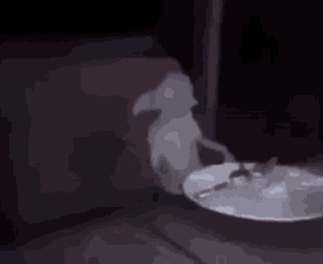 a ghostly figure is visible in the dark