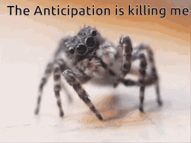 a picture of a spider with the words the anticipation is killing me