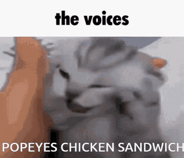 The Voices Popeyes GIF - The Voices Popeyes Popeyes Chicken Sandwich GIFs