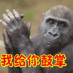 鼓掌 猩猩 吃 GIF - Applause Gorilla Eat GIFs