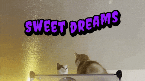 a purple sign that says sweet dreams on it