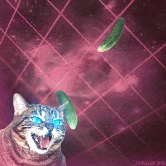 Laser Cat Cucumber GIF - Laser Cat Cucumber GIFs