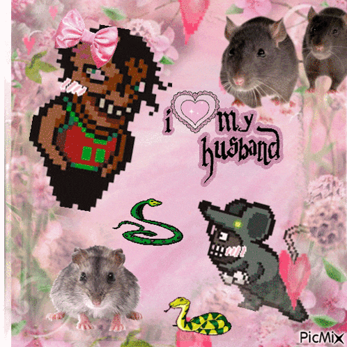 a picture of mice and a snake with the words i love my husband on it