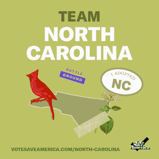 a poster that says team north carolina with a bird