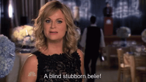 Parks And Recreation Leslie Knope GIF - Parks And Recreation Leslie Knope A Blind Stubborn Belief GIFs