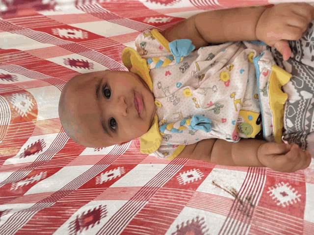a baby is laying on a red and white checkered blanket