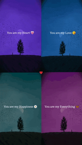 a collage of four pictures with the words " you are my heart " and " you are my love "