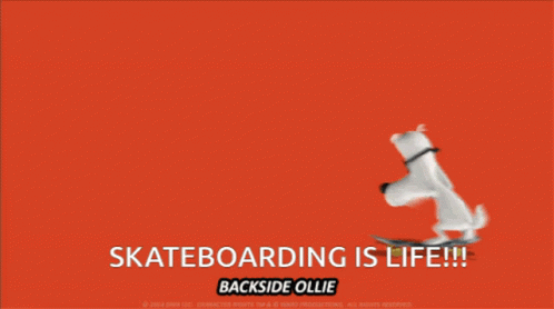 Skateboard Skateboarding GIF - Skateboard Skateboarding Peabody GIFs