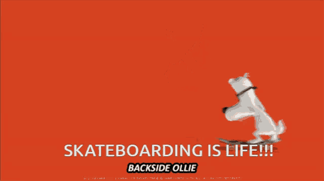 Skateboard Skateboarding GIF