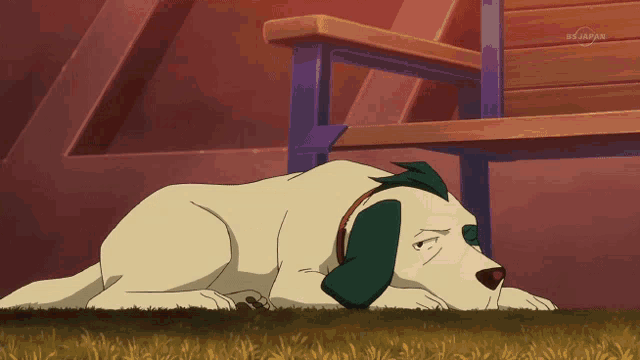 a dog is laying on the ground in front of a bench that says tv tokyo