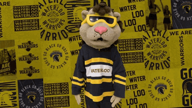 a mascot for the waterloo warriors stands in front of a yellow background
