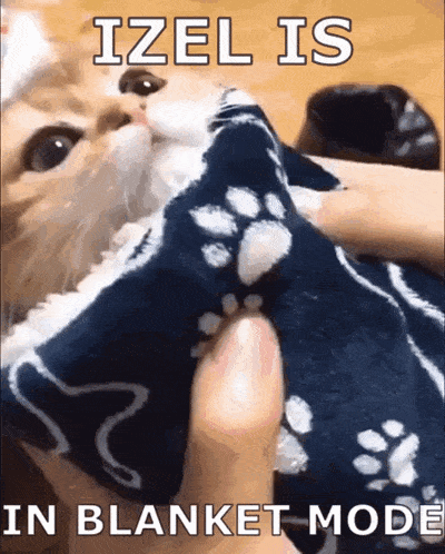 a cat is laying on a blanket with a caption that says ' izel is in blanket mode '