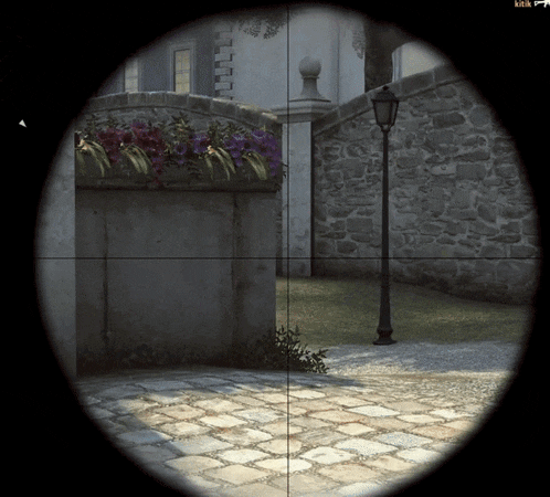 a sniper scope shows a brick walkway with flowers and a street light