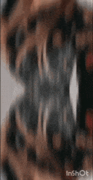 a close up of a person 's face with a blurred background and the word inshot at the bottom