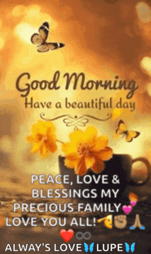 good morning have a beautiful day , peace , love and blessings my precious family love you all !