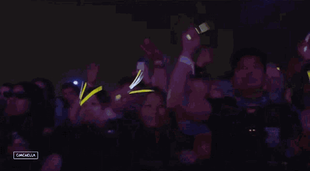 a crowd of people are dancing at a concert and the word campbella is on the bottom right