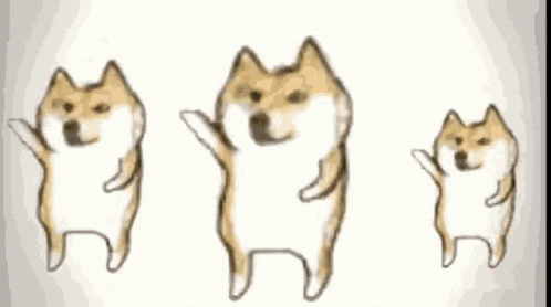 Dance Cute GIF - Dance Cute Dog GIFs