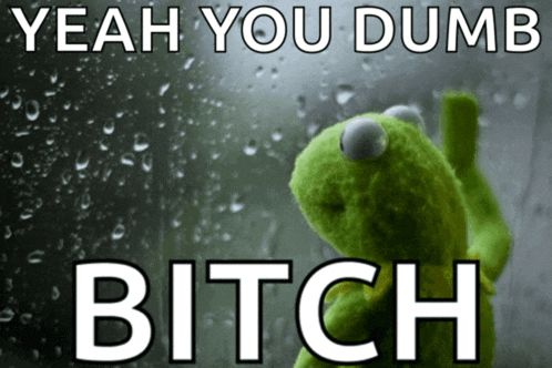 a kermit the frog looking out a window with the words yeah you dumb bitch below him