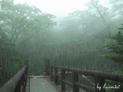 a wooden bridge in the rain with trees in the background