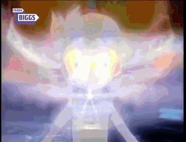 a panda biggs logo can be seen in the corner of this image