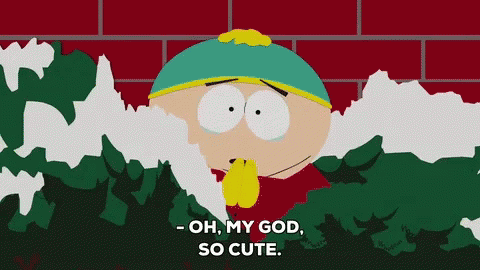 Southpark Cartman GIF - Southpark Cartman Omg GIFs
