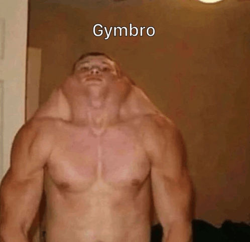 Gymbro GIF - Gymbro GIFs