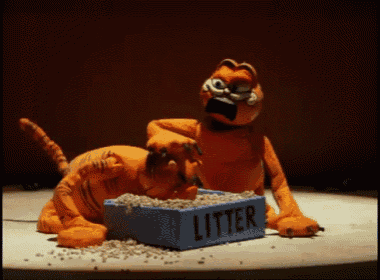 two stuffed animals are laying next to a blue box that says litter