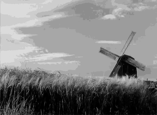 a black and white photo of a windmill in a wheat field