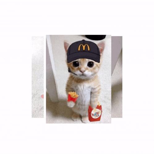 a kitten wearing a mcdonald 's hat and holding a bag of french fries