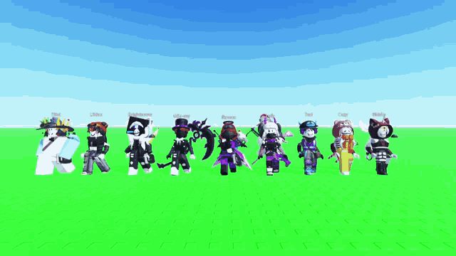 a group of roblox characters are standing in a row with their names displayed
