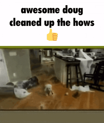 an awesome doug cleaned up the hows meme with a dog in the background