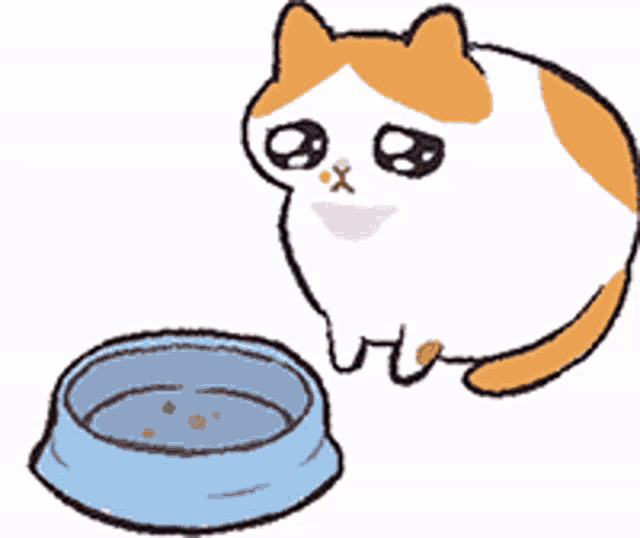 a cat is sitting next to a blue bowl of water .