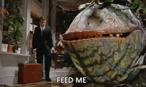 Feed Me Seymour Little Shopof Horrors GIF - Feed Me Seymour Little Shopof Horrors Hungry GIFs