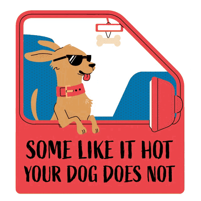 a dog wearing sunglasses is sticking its head out of a car window with the words " some like it hot your dog does not "