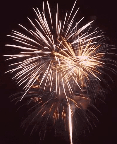 a fireworks display is going off in the dark