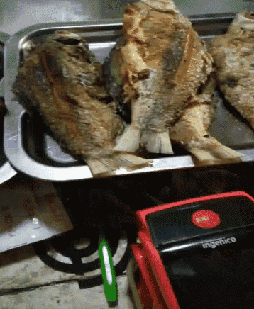 a red ingenico device sits next to some fish