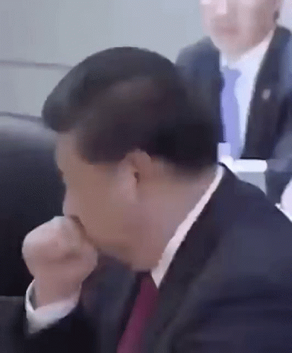 習近平 Xi Jinping GIF - 習近平 Xi Jinping China GIFs