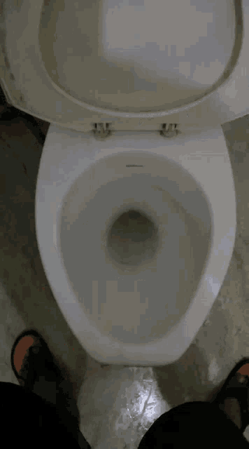 a person is standing in front of a toilet with the lid up