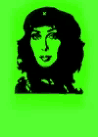 a poster that says dictadura gay with a picture of cher on it