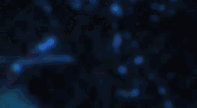 a blue background with the words members on in white letters