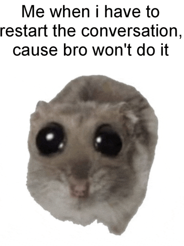 a picture of a hamster with a caption that says me when i have to restart the conversation cause bro won t do it