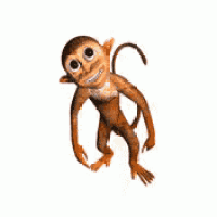 a monkey is being held by a person 's hand .