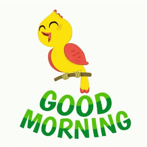 Good Morning Happy GIF - Good Morning Happy GIFs