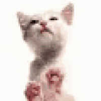 a white cat with red lips is sitting on its hind legs with its eyes closed .