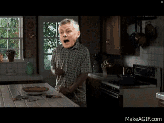 a man in a plaid shirt is standing in a kitchen