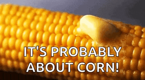 corn on the cob with butter on it and the words it 's probably about corn below it