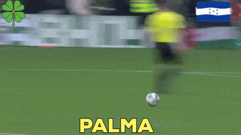 Luis Palma Palma Celtic GIF - Luis Palma Palma Celtic Palma Celtic Goal GIFs